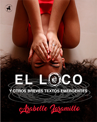 La novela de Pernett y Morales